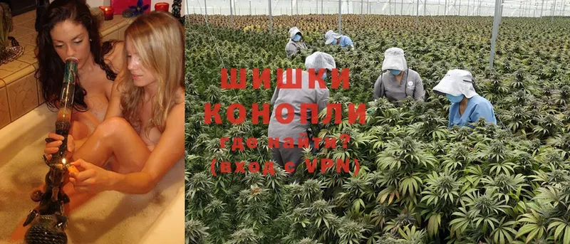 блэк спрут онион  Зерноград  Канабис SATIVA & INDICA 